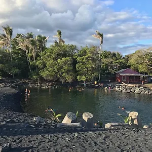 The Dolphin At , Kehena United States